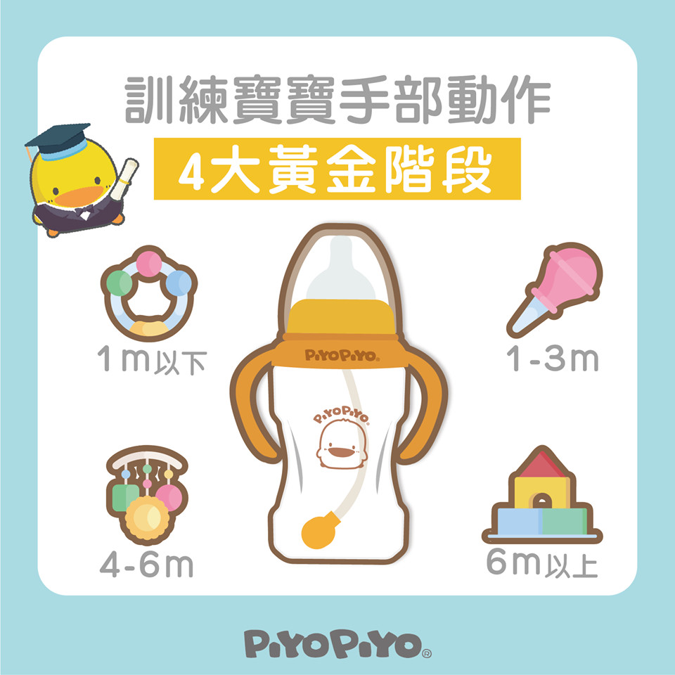 腦部發展四大黃金關鍵期